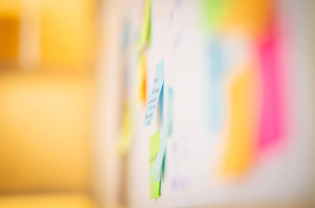 The Secret Sauce to Success: Business Process Improvement